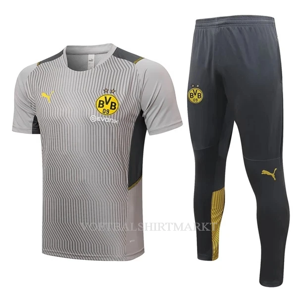 BVB Borussia Dortmund Trainingsshirt Pak 2022-23 Lichtgrijze