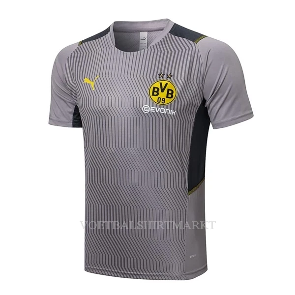 BVB Borussia Dortmund Trainingsshirt Pak 2022-23 Lichtgrijze