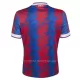 Crystal Palace Shirt Heren Thuis 2022-23