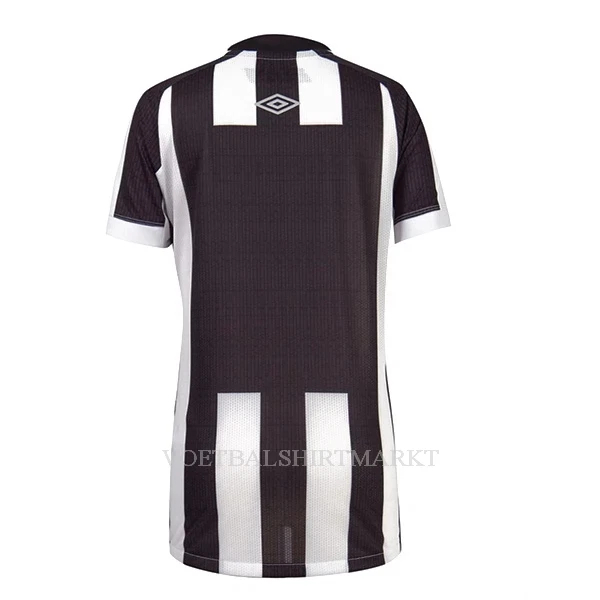 Santos FC Shirt Heren Uit 2022-23