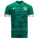 Ierland Shirt Heren Thuis 2022