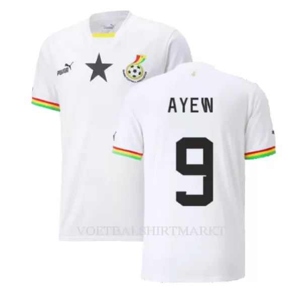 Ghana Ayew 9 Shirt Heren Thuis Jordan WK 2022