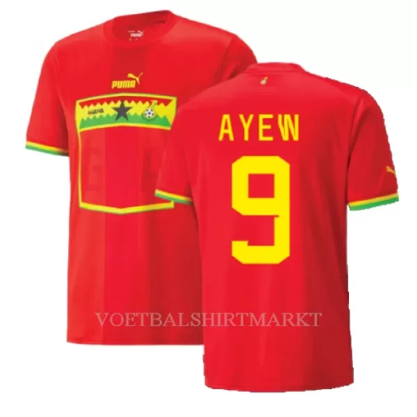 Ghana Ayew 9 Shirt Heren Uit Jordan WK 2022