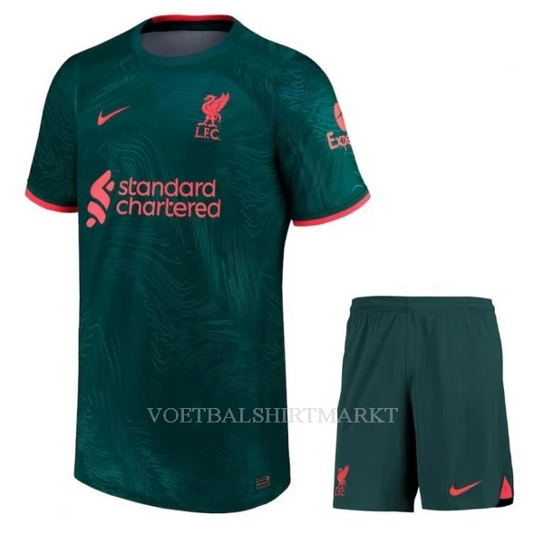 Liverpool Tenue Kind Derde 2022-23