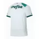 Palmeiras Shirt Heren Uit 2023/24