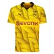 Borussia Dortmund Cup Shirt Heren 2023/24