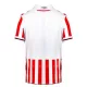 Stoke City Shirt Heren Thuis 2023/24