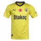 Fenerbahce Shirt Heren Uit 2023/24