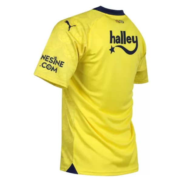 Fenerbahce Shirt Heren Uit 2023/24