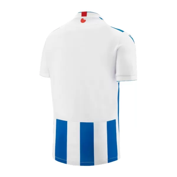 SC Heerenveen Shirt Heren Thuis 2023/24