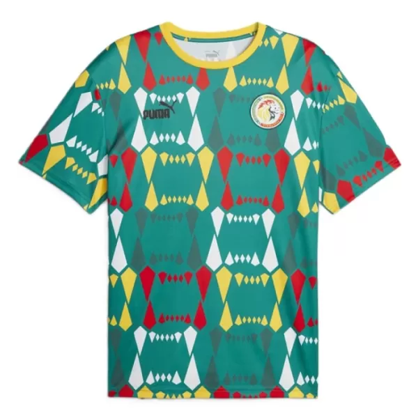 Senegal Shirt Heren Thuis 2023/24