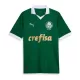 Palmeiras Shirt Heren Thuis 2024/25