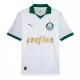 Palmeiras Shirt Heren Uit 2024/25