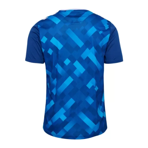 Denemarken Keeper Shirt Heren EK 2024 Blauwe