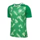 Denemarken Keeper Shirt Heren EK 2024 Groene