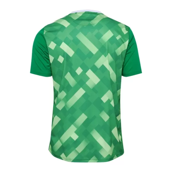 Denemarken Keeper Shirt Heren EK 2024 Groene