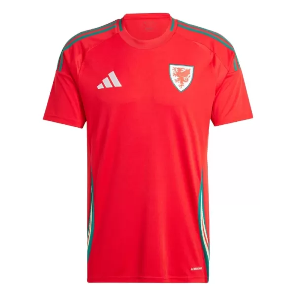 Wales Shirt Heren Thuis 2024