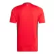 Wales Shirt Heren Thuis 2024