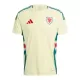 Wales Shirt Heren Uit 2024