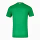 Ierland Shirt Heren Thuis 2024/25