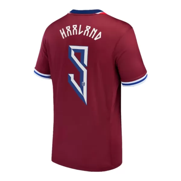 Noorwegen Haaland 9 Shirt Heren Thuis 2024