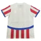 Paraguay Shirt Heren Thuis 2024