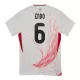 Japan Endo 6 Shirt Heren Uit 2024/25