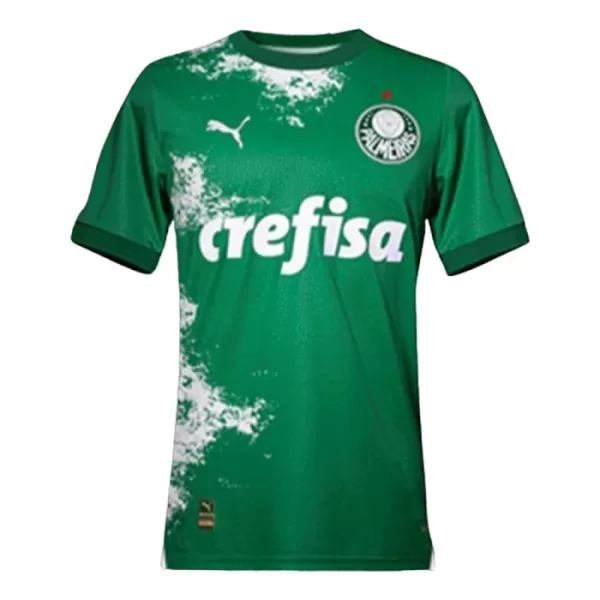 Palmeiras Shirt Heren 2024 Groene - Speciaal