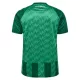 Werder Bremen Shirt Heren Thuis 2024/25