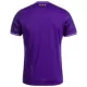 RSC Anderlecht Shirt Heren Thuis 2024/25