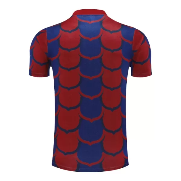 Barcelona Pre-Match Shirt Heren 2024/25