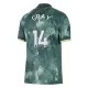 Tottenham Hotspur Gray 14 Shirt Heren Derde 2024/25