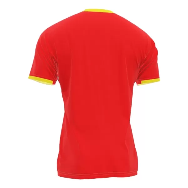 Guinea Shirt Heren Thuis 2024