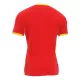 Guinea Shirt Heren Thuis 2024