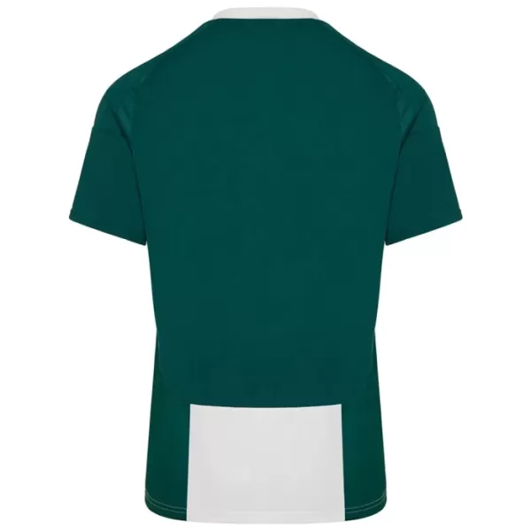 Panathinaikos FC Shirt Heren Thuis 2024/25