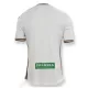 Swansea City Shirt Heren Thuis 2024/25